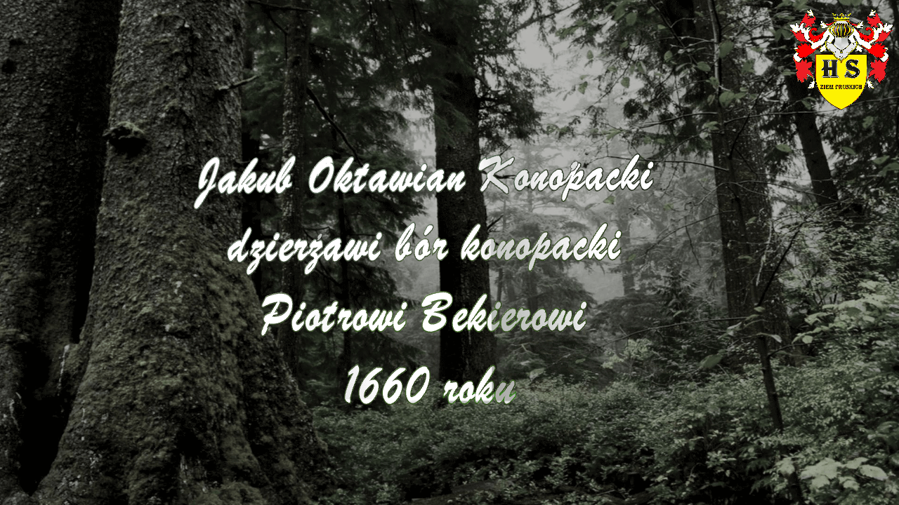 Chronologia wydarzeń Historii Szlacheckiej 49 Konopacki dzierżawi bór konopacki Bekierowi 1660 roku
